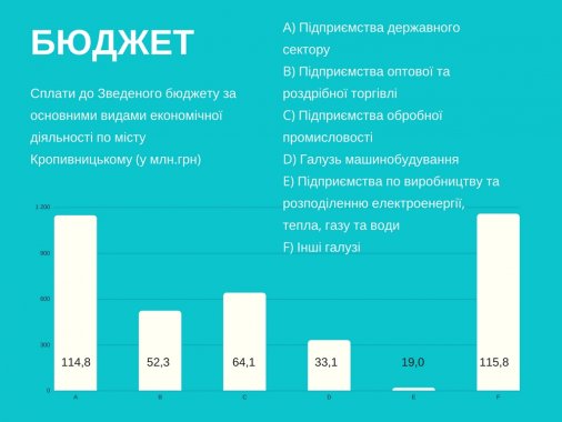 ​Хто формує бюджет Кропивницького?